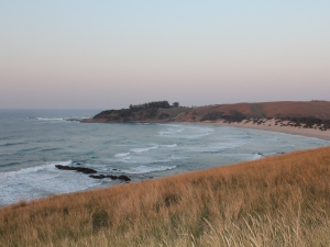Wild-Coast